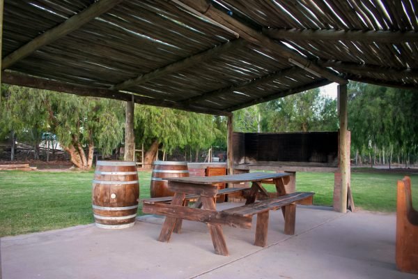 -5057628315698965296_121